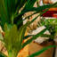 40 po Spathiphyllum artificiel en pot