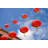 Chinese Lanterns by Visualfield-706352635