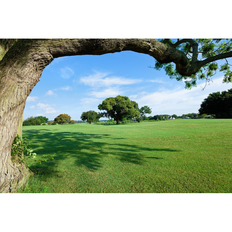 Golf Fields by Apomares - No Frame Art Prints on Canvas, 30cm H x 46cm W