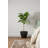 Aramenta Self-Watering Weather-Resistant Resin Pot Planter-666881084-666881059