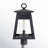 Tomlinson Seeded Lantern Head