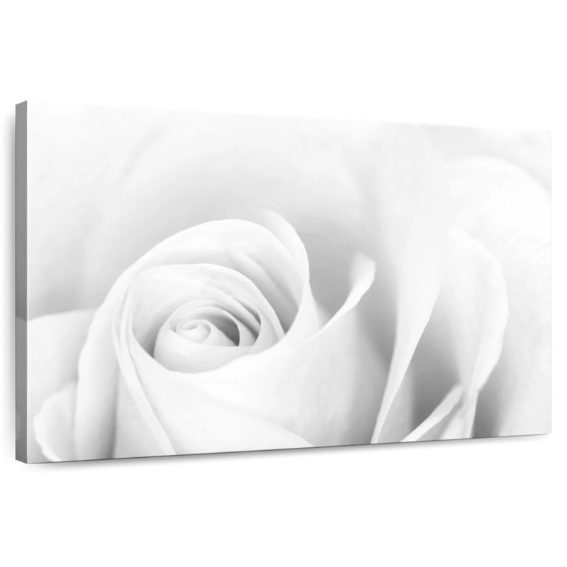 Harnek White Rose Blossom