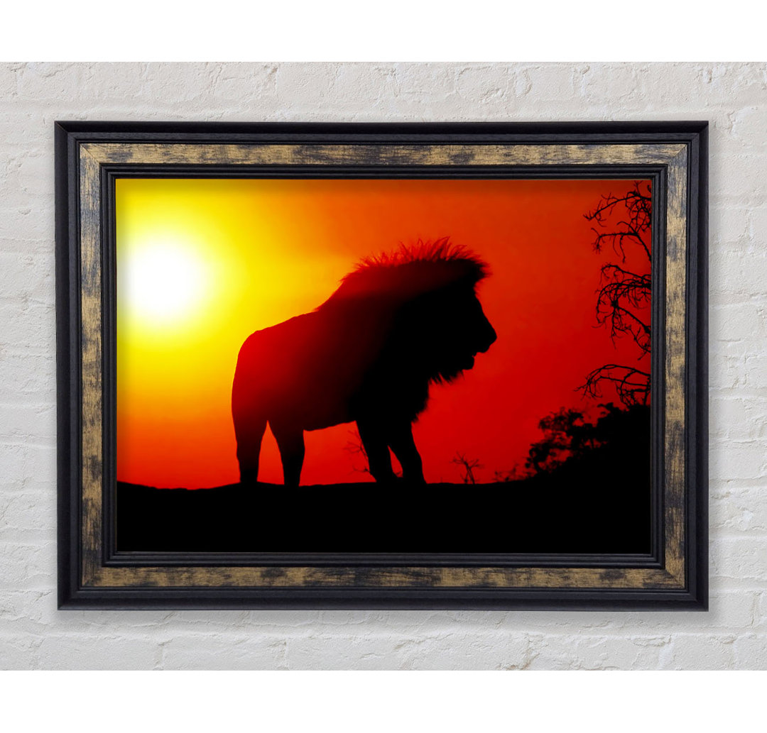 Lion Sunset - Einzelner Bilderrahmen Kunstdrucke