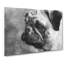 Pug Dog - Wrapped Canvas-61837370