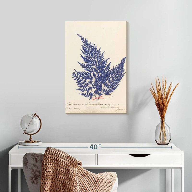 Harnek Botanical Fern II, H 24 po x l 16 po