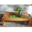 Solid Wood Four Leg Coffee Table-59036939