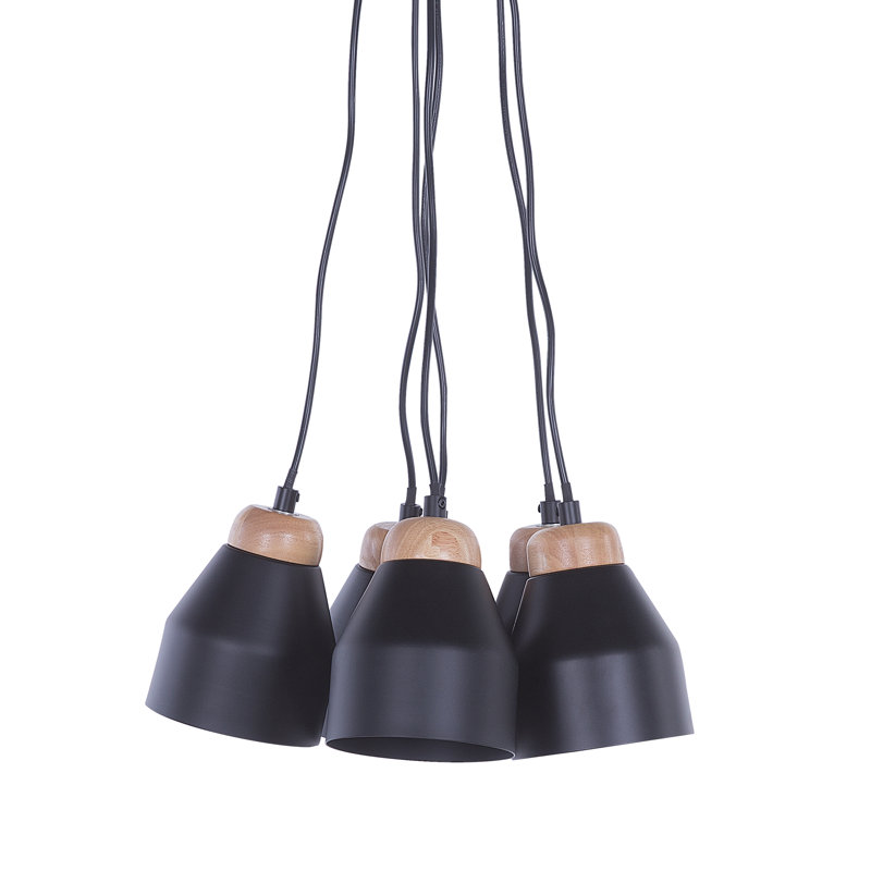 Abrahamson 6 - Light Cluster Pendant, Black