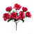 Fuchsia est en rupture de stock
