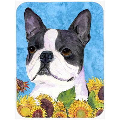 Planche à découper en verre Boston Terrier