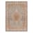 Botolphus Oriental Indoor Rug-2111019704