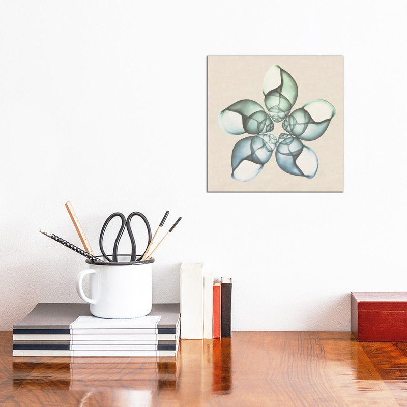 Seaside Star II by Albert Koetsier - Wrapped Canvas Print, 30.48 cm H x 30.48 cm W