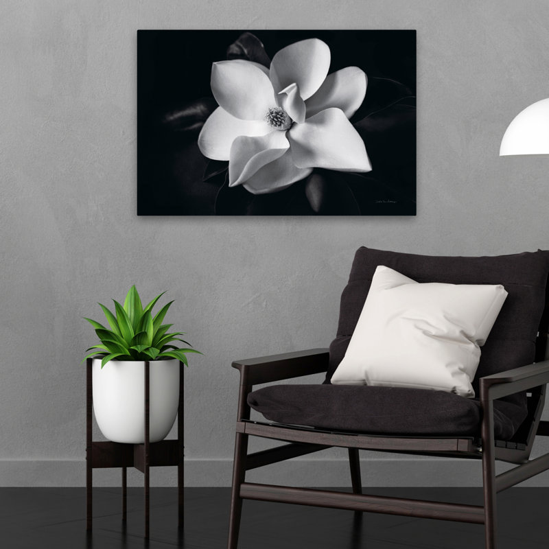 Blooms Blossoms - Magnolia, H 16 po x l 24 po