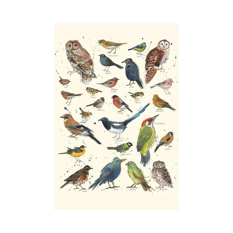 Garden Bird Chart by Michelle Campbell - Wrapped Canvas Gallery-Wrapped Canvas Giclée