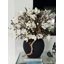 Black Konos Vase With White Magnolias