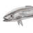 Yellow Tailed King Fish Wall Sculpture-124240341
