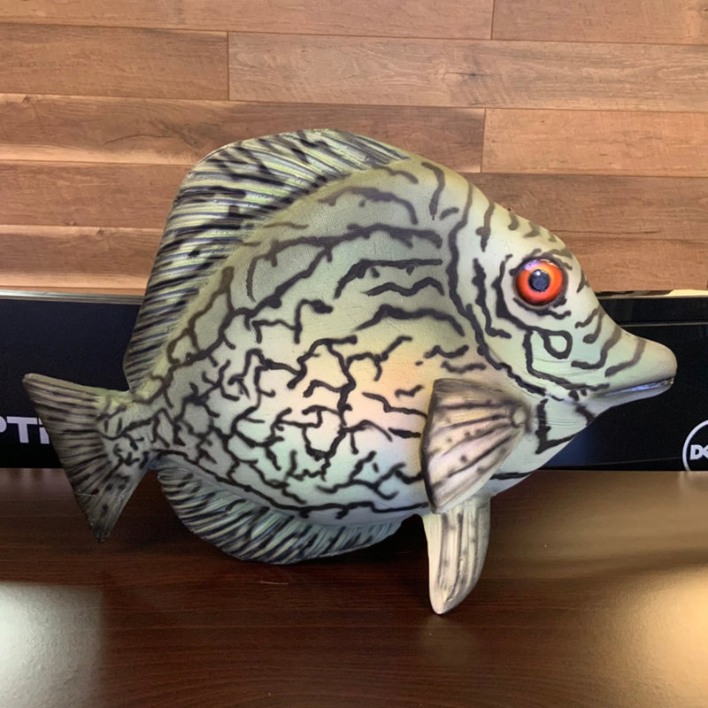 Discus Fish Statue