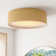 Jessalyn Acrylic LED Flush Mount