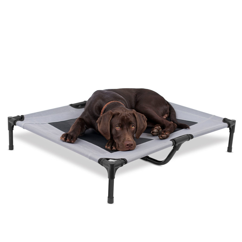 Medium Gray Elevated Outdoor Dog Cot with Steel Frame