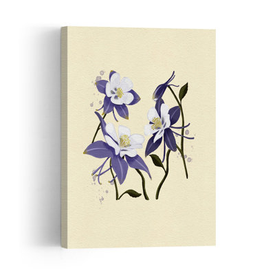 Colorado Columbine Copy Delicate Elegant Abstract Flower Nature Wall Art Print
