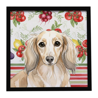 Longhaired Cream Dachshund Vegetables Framed Metal Print