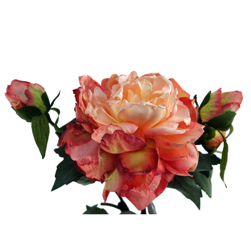 Plastic, Silk Artificial Arrangement, Pink