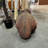 Beaver Life Size Statue