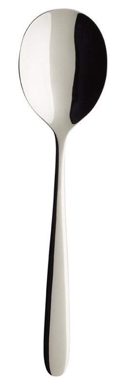 Daily Line Serving Spoon