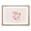 Pale Pink Rose - Framed Print-56851706-56851709