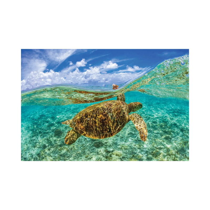 Wave Rider by Jordan Robins - Wrapped Canvas Print, 30.48 cm H x 45.72 cm W