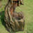 Forest-Inspired Outdoor Cascade Water Fountain with LED Light, Plug-In Pump & Weather-Resistant Finish