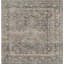 Dmon Floral Area Rug in Blue-1896423627