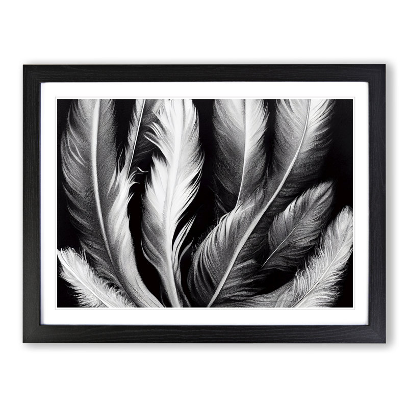 Inconceivable Bird Feathers - Single Picture Frame Print, Black, 25cm H x 34cm W x 2cm D