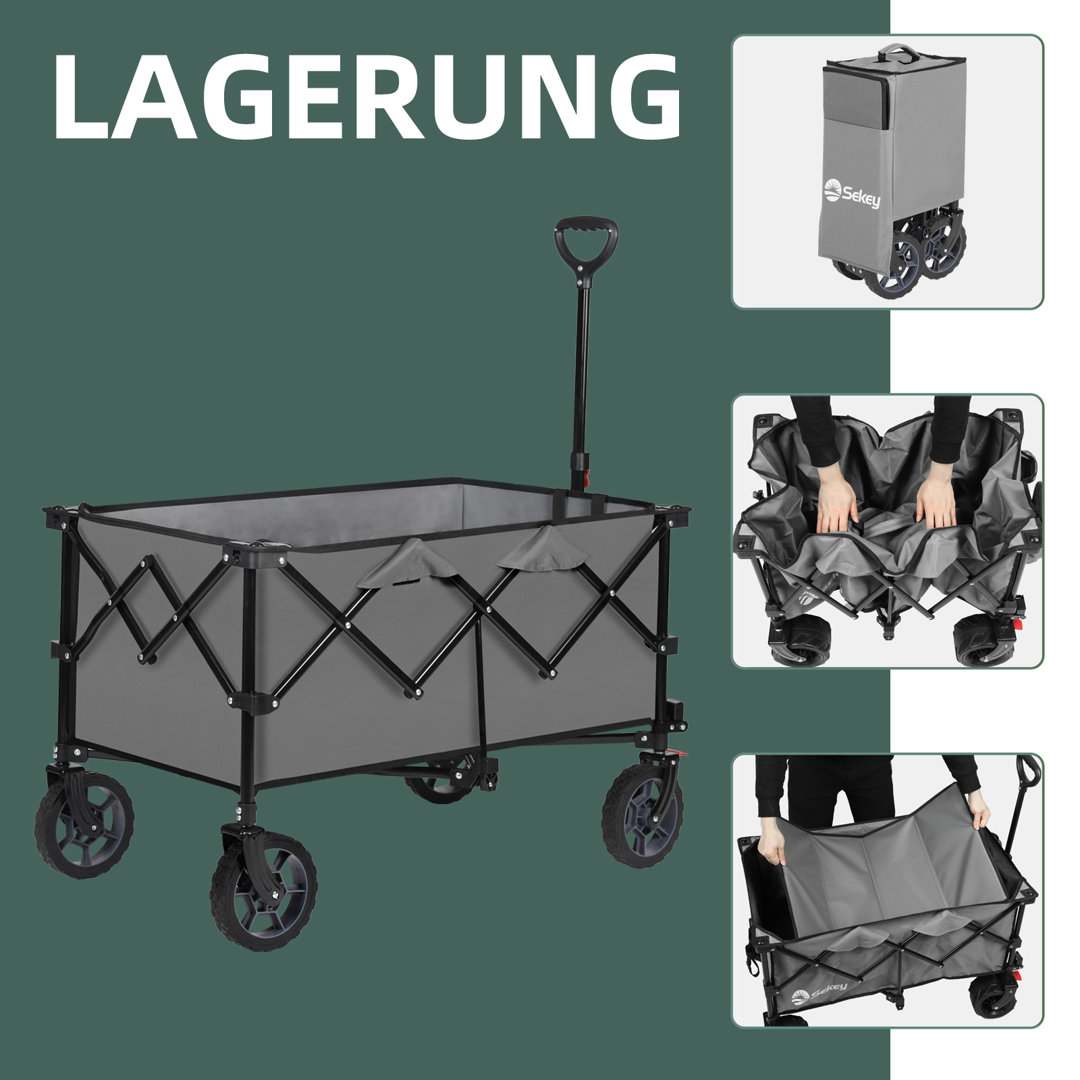 150 kg Plattformwagen Transportwagen