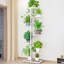 Plant Stand-50357862