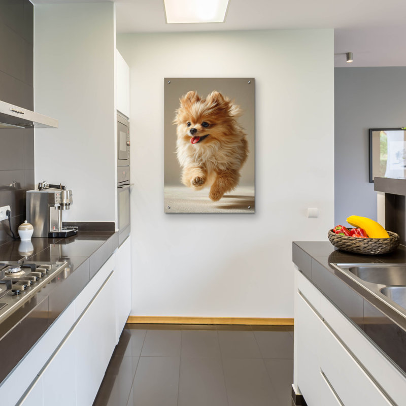  «Cute Fluffy Pomeranian 2» par Ann Klee, art mural en verre acrylique, 24 po x 36 po, H 36 po x l 24 po