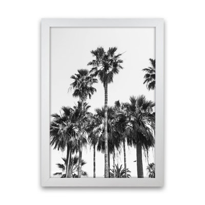 Sabal Palmetto II Palm Trees by Victoria Frost - Print