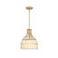 Luminaire suspendu en forme de cloche 1 lumière Aukerman 60 watts avec abat-jour en verre opale gravé et cage extérieure en métal-1119005712-1119005714