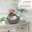 Pot de fleurs statue magnesia oiseau Rieger-1591546251