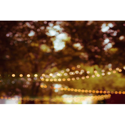 Summer Trees II - Wrapped Canvas Painting