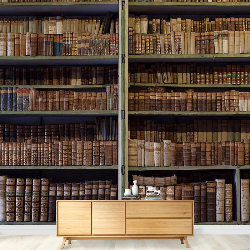 Historic Old Books in Ancient Library Wooden Bookshelf Paintable Wall Mural, 100" L x 144" W