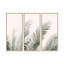 Coastal Retreat "Blush Palm Leaves" Framed 3-Piece Wall Art Set By Kathrin Pienaar-1849108570