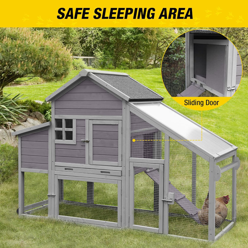 Dulse 14.7 Square Feet Chicken Coop with Nesting Box