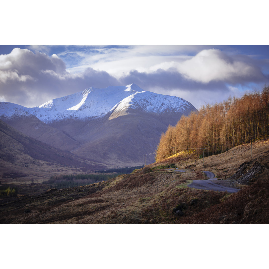 Winding Road von Theasis - Druck auf Leinwand ohne Rahmen