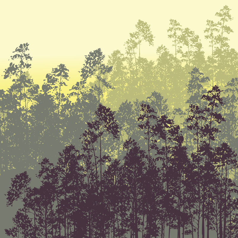 Landscape With Pine Trees - Wrapped Canvas Print, 122cm H x 122cm W
