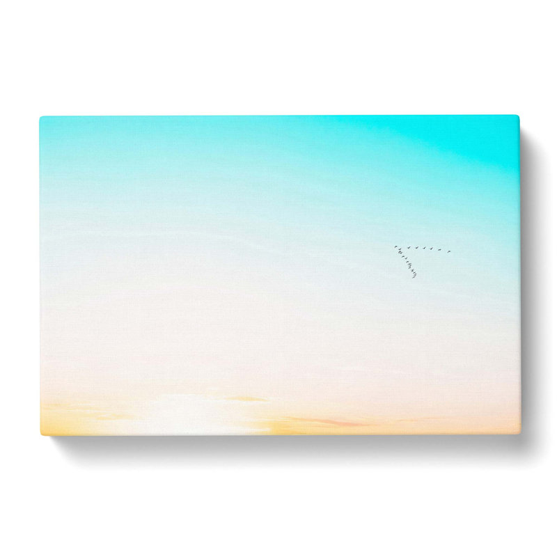 Flock Of Birds - Wrapped Canvas Print, 50cm H x 76cm W x 3cm D