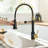 FLG Pull Down Kitchen Faucet