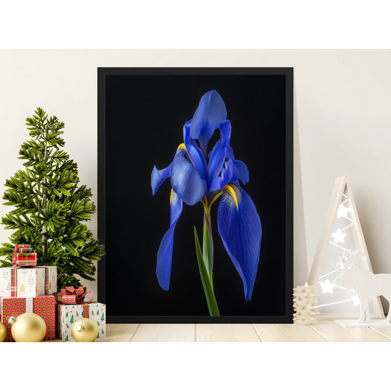 Chariah Single Picture Frame Print, 43.18 cm H x 27.94 cm W