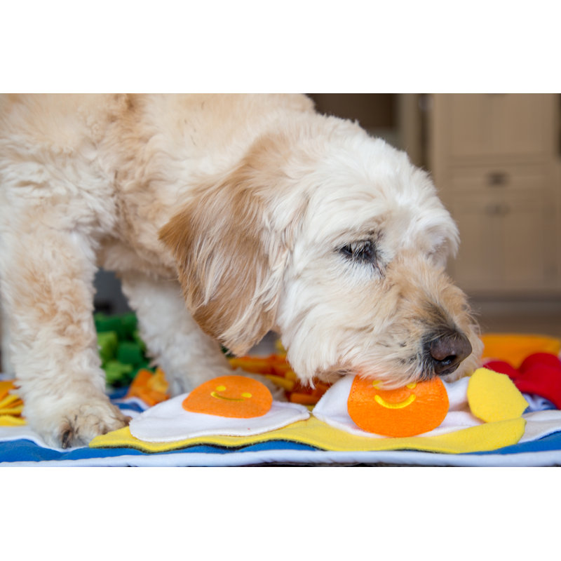 Tapis de déjeuner