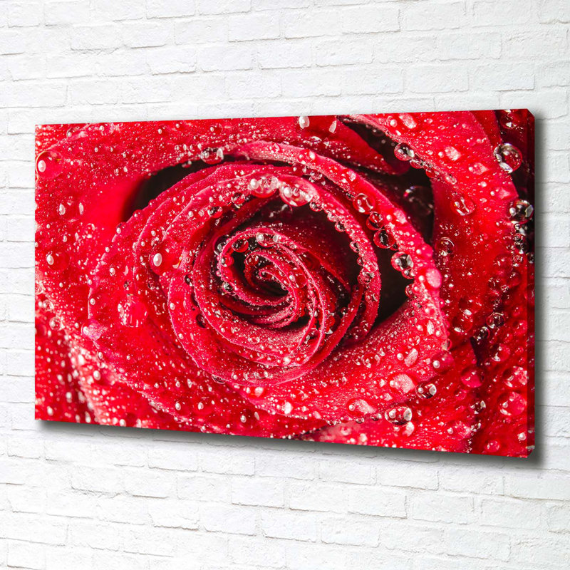 Water Drops On A Rose - Wrapped Canvas Print