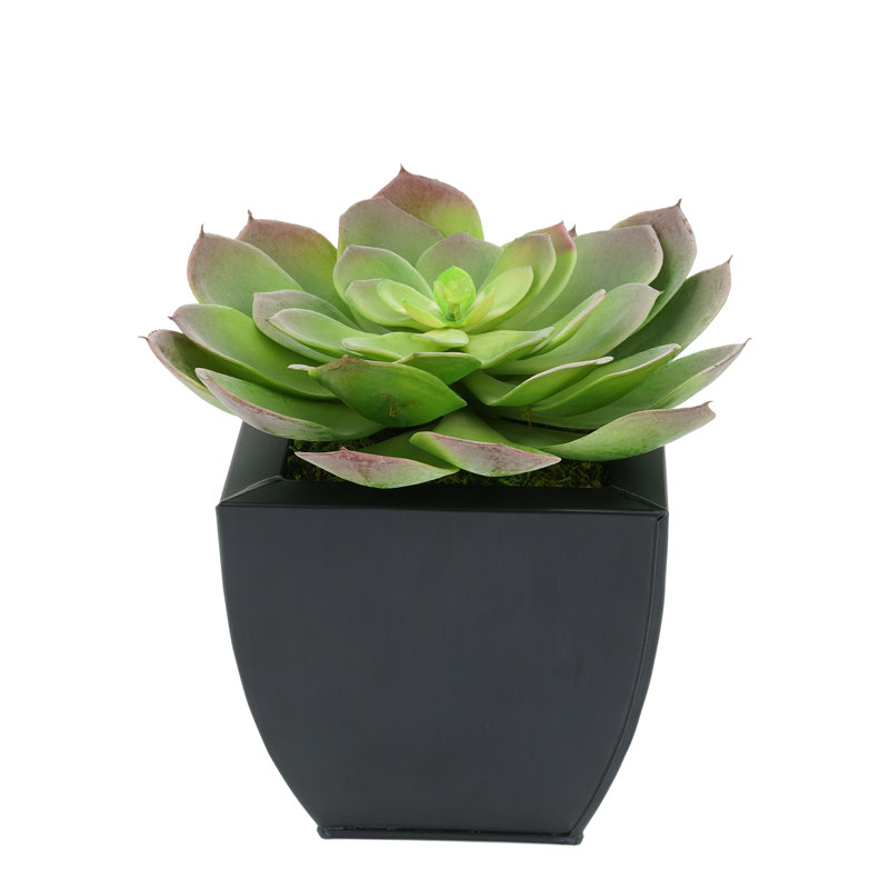 8.50'' Faux Succulent in Metal Pot, Black